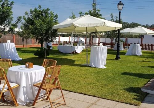 FB_IMG_1647603619337-1024x536